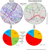 Fahrradgraphik_Bremen_Newcastle